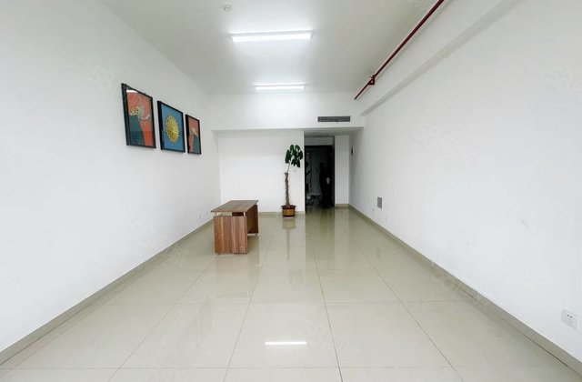 老东昌的扛把子 新东方国际 70年住宅 电梯好楼层 免