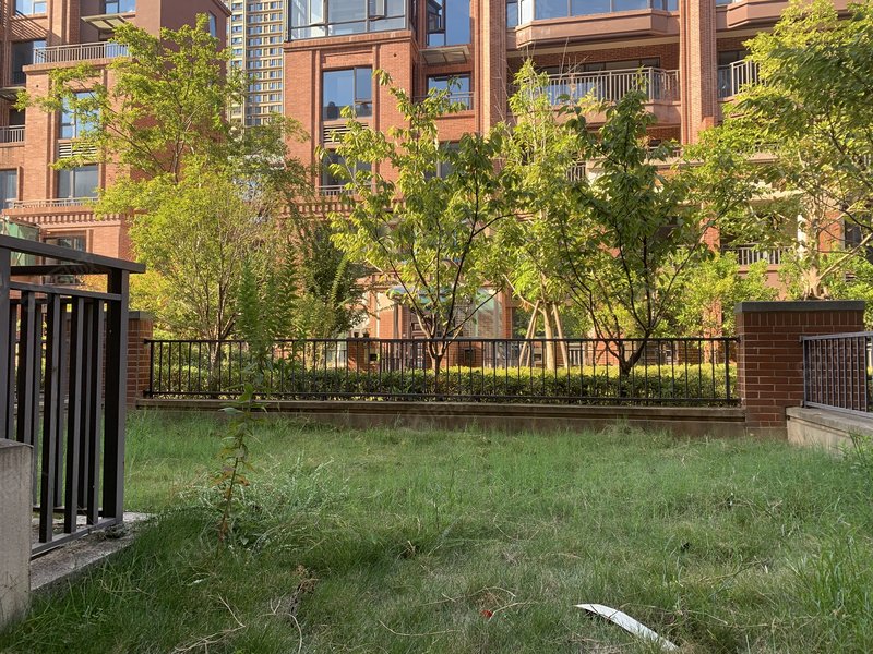 房东置换别墅 急售绿地国博城 一楼洋房送前后超大花园和地下室