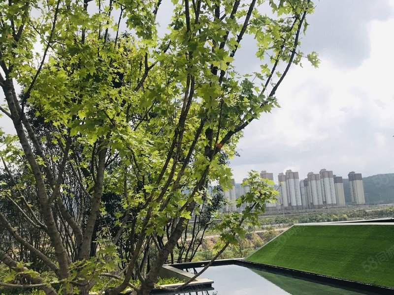 203平毛坯255万呈贡新城6楼中国铁建山语桃源4房 东南