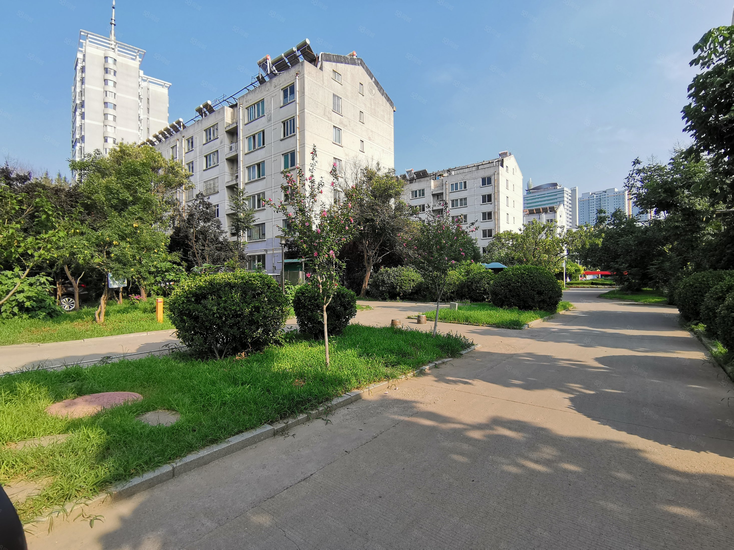 9万三室两厅一衣帽间带储急售,紫荆园-淄博58同城