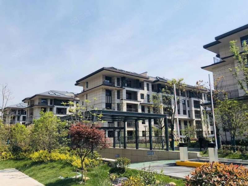 双拼别墅 花桥梦世界 西上海 35万方商业中心 100平花园