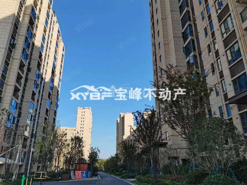 碧桂园黄金时代4室3厅2卫176㎡南北133万