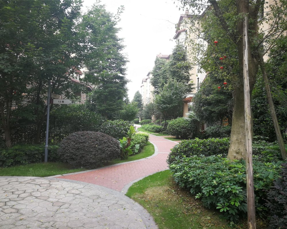 1/19 1/19 实景图户型图