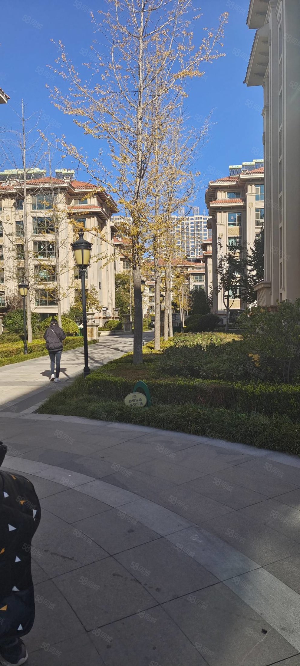 青云国际城-安丘58同城