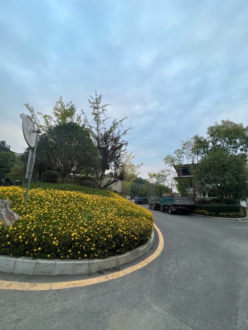 阅山湖(别墅)-贵阳58同城