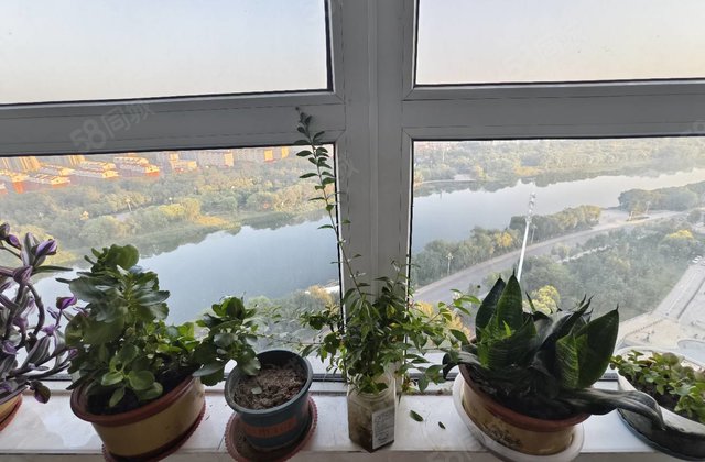 新出御景王宅观景中间楼层，精装两室两厅，免大税