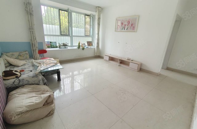 二中文苑 金柱大学城正规三室 七字开头 诚心出售随时看房