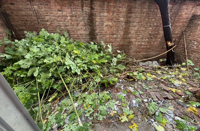 兴华路 国棉厂 一楼带院子 东 昌 水城华府南