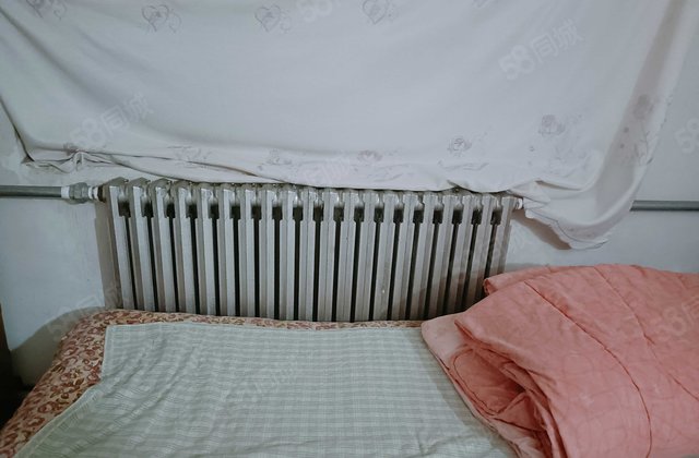 滨河花园北区(1-10号楼)2室1厅1卫房东直卖。