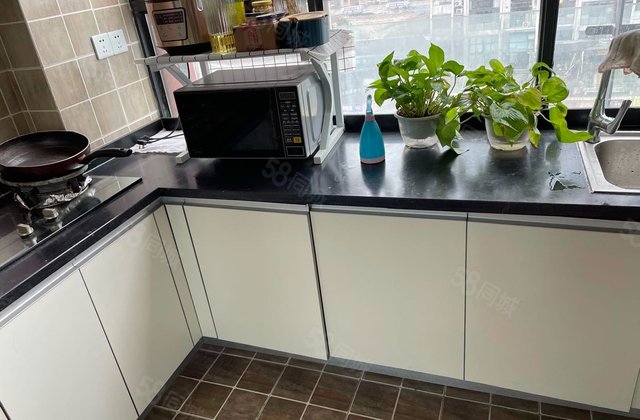 蓝光空港国际城(七期)1室1厅54.67㎡55万二手房图片