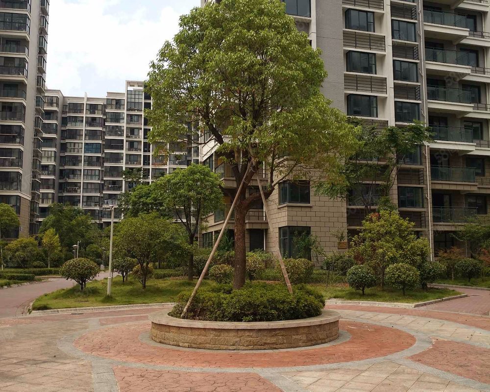 【南洲花园, 南洲花园小区详情,房价走势,房源,业主论坛】- 义乌58