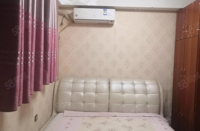 1.1类 划东昌 市中心 一居室