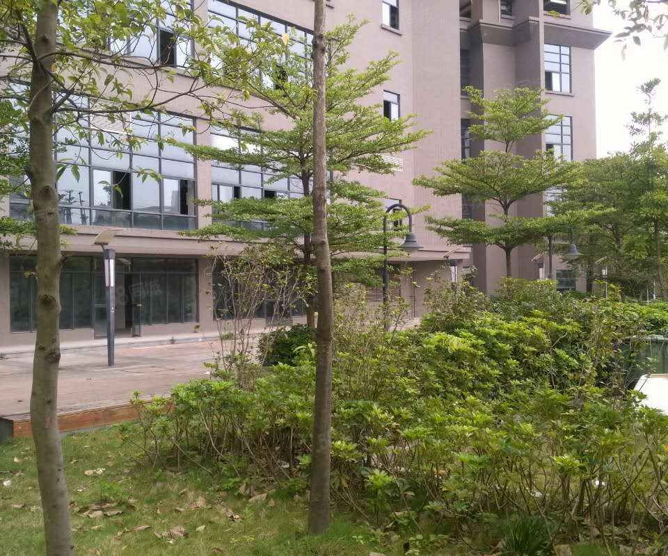 锦鸿花园内环路广州环城高速之间