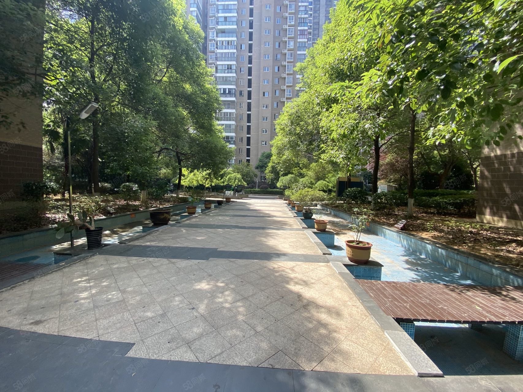 丽星景园3室2厅2卫124.13㎡南北138万