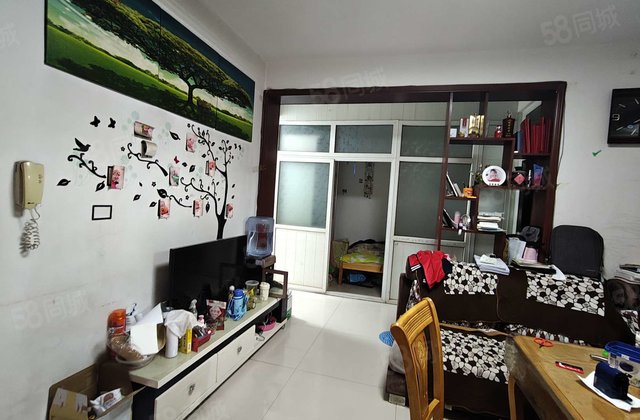 环城湖周边菜市场火车站 润佳公寓 温馨小户型 电梯房送储藏室