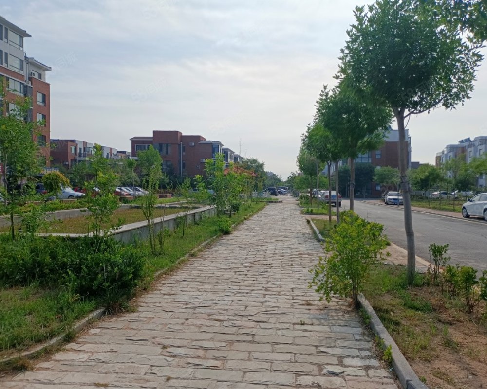 【枫林绿洲, 枫林绿洲小区详情,房价走势,房源,业主论坛】- 东营58