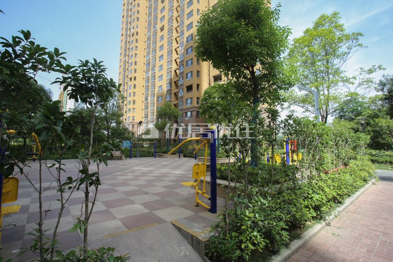 【10图】滨河御景苑 精装三室 家电齐全 高层观景,滨河御景苑-洛阳58