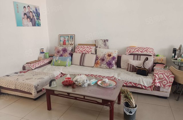 金丰苑 南向采光好 超低密度 出行方便 商圈成熟 楼层好