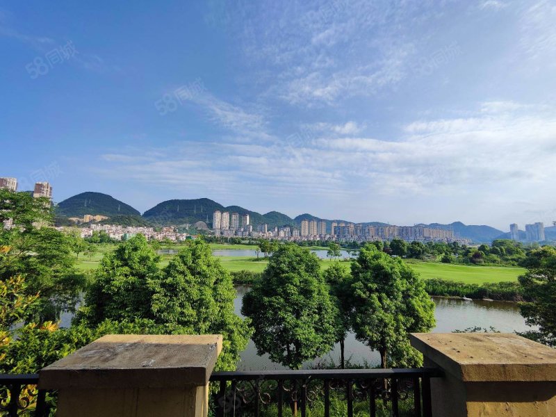 乐湾国际湖语御景(别墅)5室3厅4卫500㎡南1050万