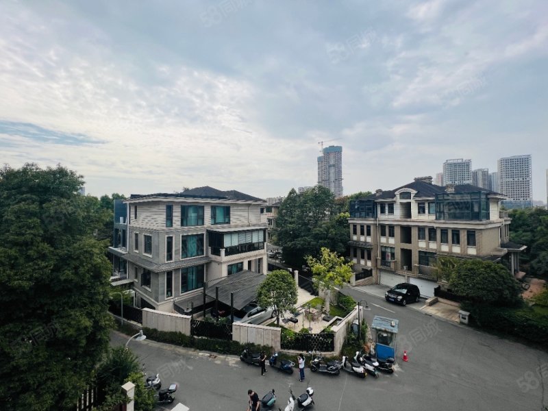 自带月湖公园 双地铁 花园200平,藏珑湖上国际花园(别墅)-长沙58同城