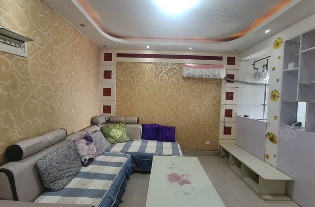 急售东昌中学 金鼎附近电梯房 好楼层 免大税 可按揭 有钥匙