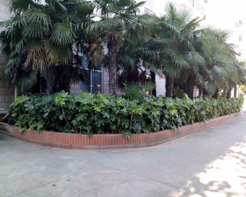 【星湖名都, 星湖名都小区详情,房价走势,房源,业主论坛】- 无锡58