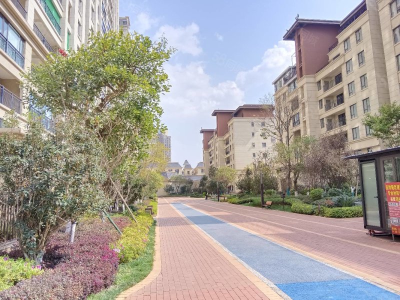 红星国际天铂洋房湖景房急卖