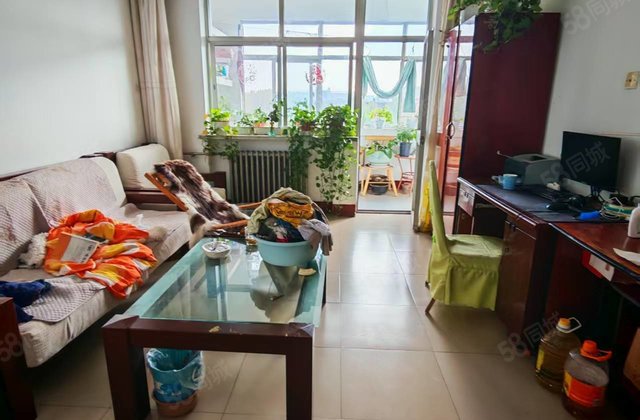 文轩老校区 外国语 羡林苑 聊大西校 电梯房 大三室