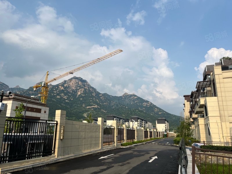 送南北花园 送全明负一 半山九里国悦府依山墅,国悦半山九里-泰安58