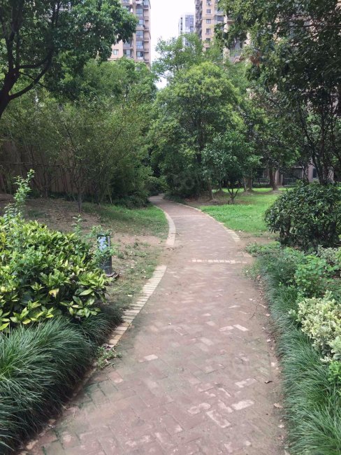 三林南,动迁房的价格商品房的环境,电梯高层,豪华装修三房,依水园