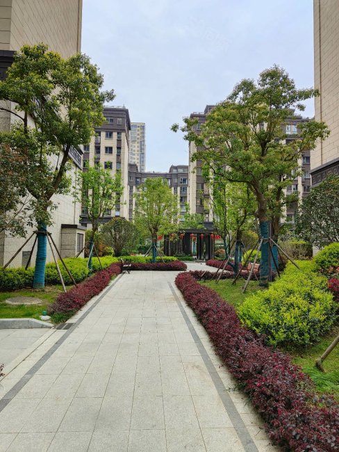 房主亏本甩卖万达广场六安环球港电梯洋房皋城小初双本部