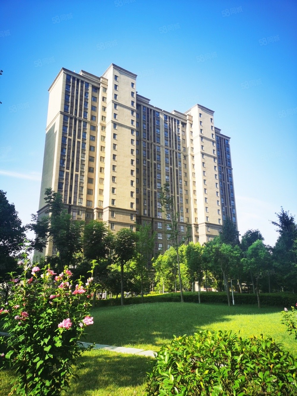 东来尚城3室2厅1卫114.56㎡南62万