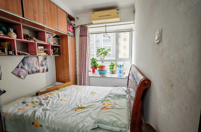 文轩！龙湾东门商品房！南向！