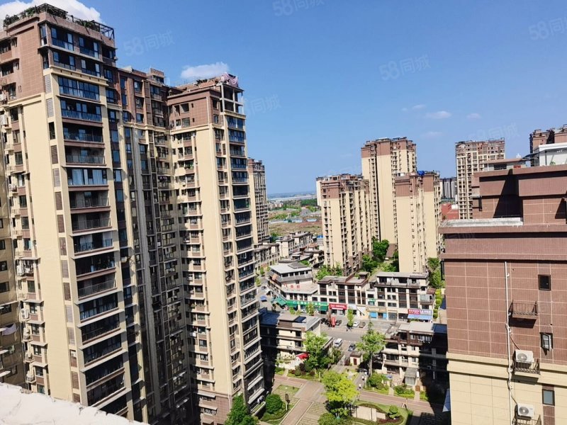 龙湖领御5室3厅3卫248㎡南北120万