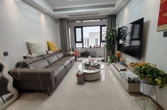 城市之尊！金柱绿城！新出精装3室2厅1卫！阳光！实验！