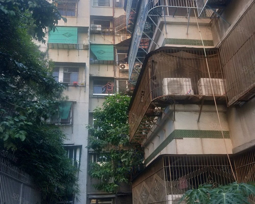 林百欣教师宿舍龙湖区