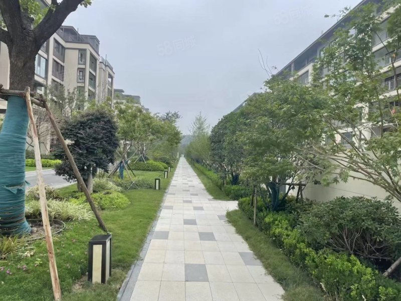 建业心怡苑5室2厅3卫260㎡东226万