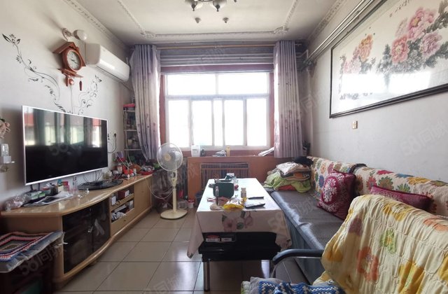 文轩 外国语  柳园小区 柳园办事处家属院 健康楼层 可按揭