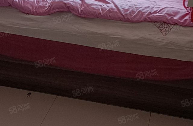 双力小区(北区1 15号楼) 南北通透板楼 小三居！送储藏室