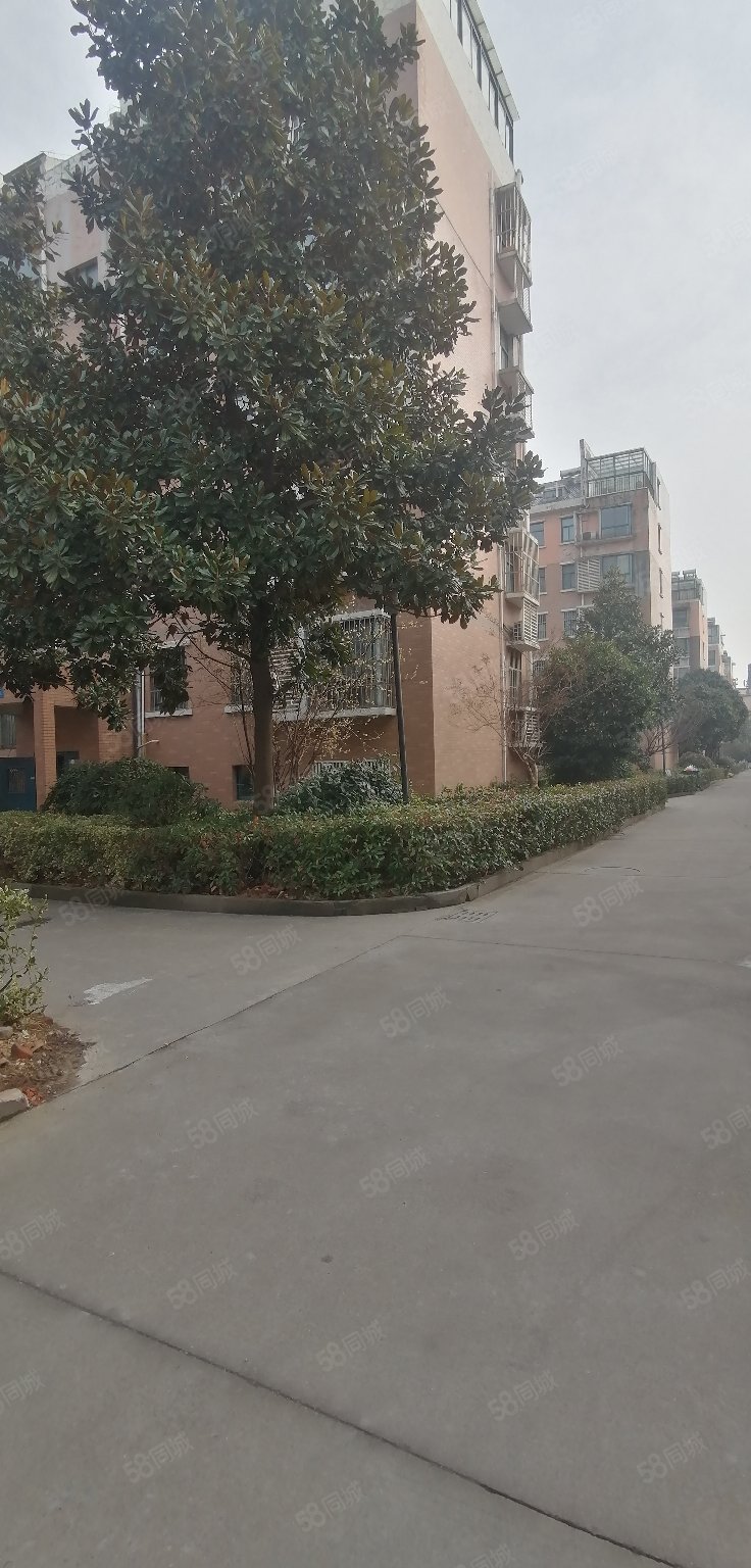 朝南 3室2厅 精装修 采光好 小区旁边就是商业街,御都花园-镇江58同城