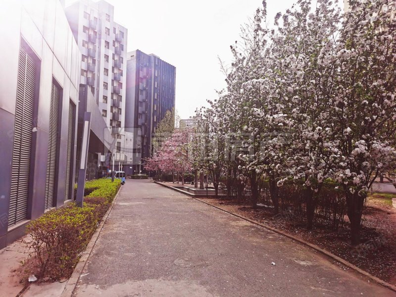 里外里公寓3室2廳2衛(wèi)152.6㎡南北799萬