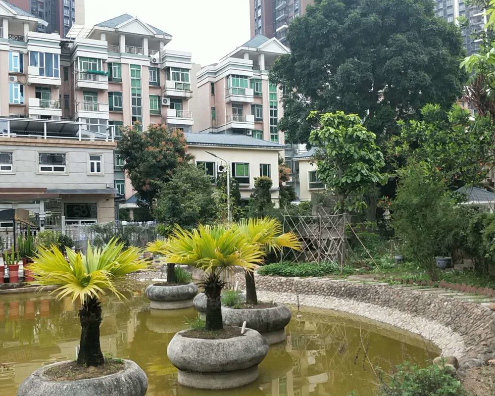 【逸涛半岛(别墅), 逸涛半岛(别墅)小区详情,房价走势,房源,业主论坛