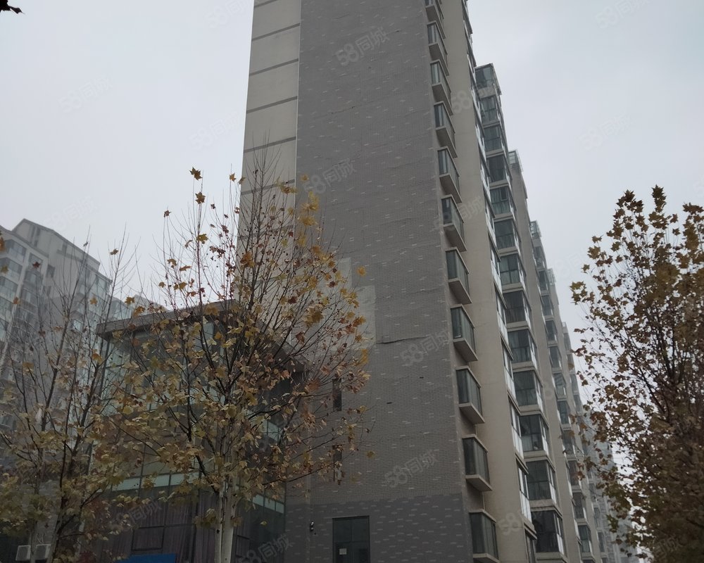 鸿嘉星城观澜御府2区小区详情,房价走势,房源,业主论坛】- 淄博58