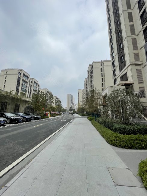 太仓新区 金地阅峯 万达广场旁 近市民公园 小区绿化高