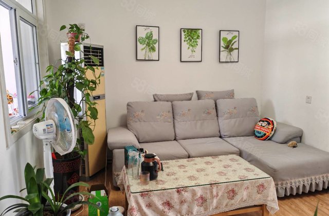 龙山北区 财局 检察院 文轩 外国语 精装三室 停车方便