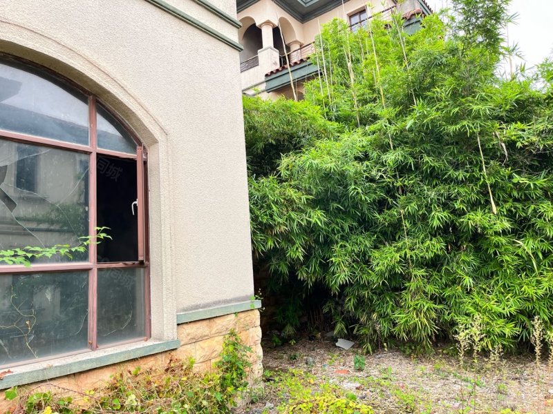 仙湖别墅6室2厅3卫288.33㎡南99.98万