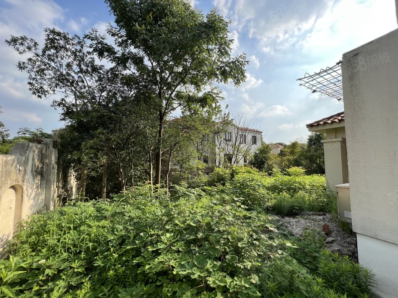 新出檀香园占地15亩大独栋临河毛坯已改建好看房随时