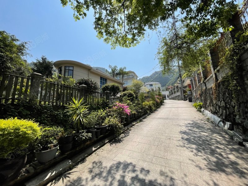 8亩诚售288万,龙峰山庄-温州58同城