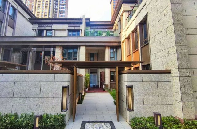 (特价房)光谷东 别墅 上三层下两层 送院子 车位 带电梯