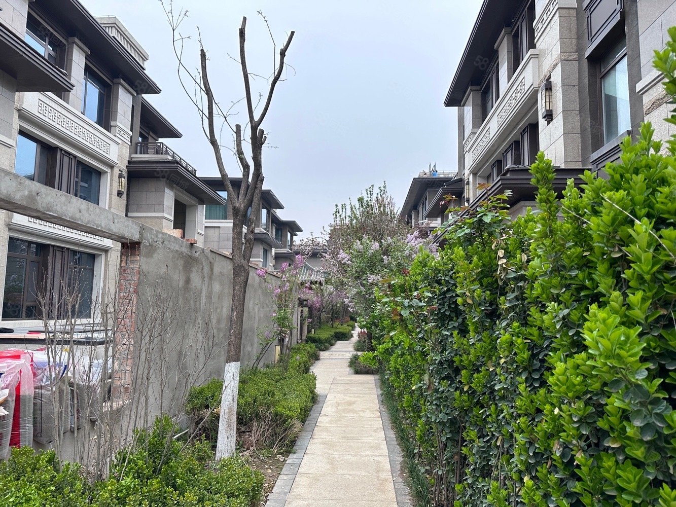 金地九玺5室2厅4卫338.09㎡南北2000万